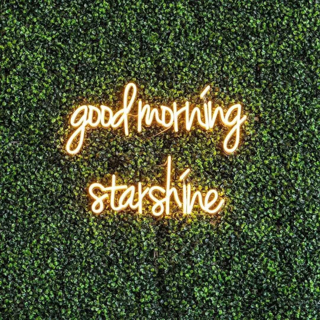 good morning starshine